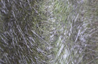 Shirley Heath fibreglass roof work